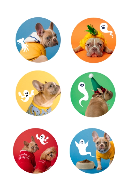 Lễ hội hóa trang halloween