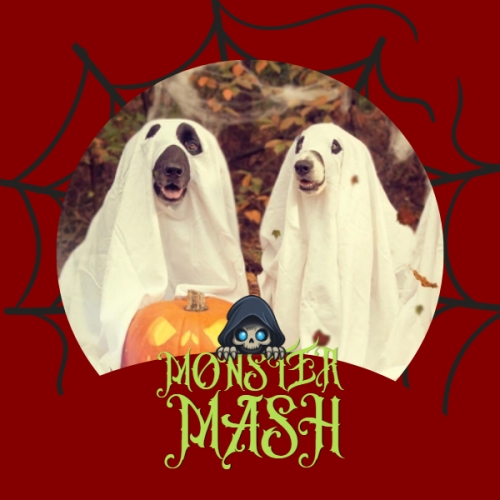 Halloween, lễ hội ma quái, sự kiện, event, dễ thương, cute, chibi, hoạt hình, cartoon