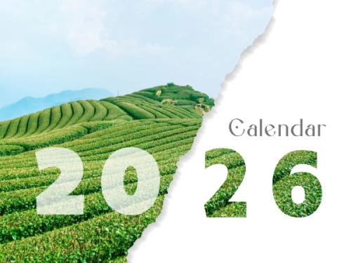 Xin chào 2026