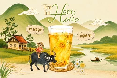 Trà lài hoa cúc