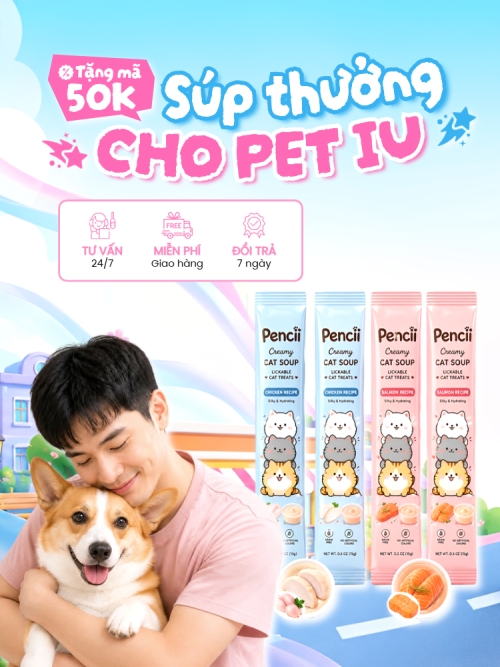 Súp thưởng cho Pet iu