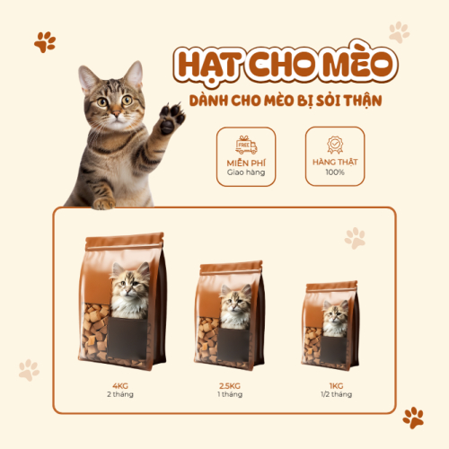 Thức ăn cho mèo, mèo, cat, pet, thú cưng, thú nuôi, động vật, animal