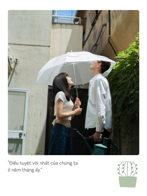 Gia đình, family, couple, cặp đôi, thanh xuân, đơn giản, hoa lá