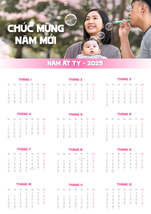 Tết, Xuân, Ất tỵ, năm 2025, 2025, Đơn giản, simple, minimalist, tối giản