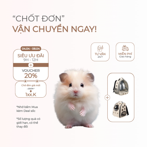 Hamster, chuột, phụ kiện, pet, thú cưng, thú nuôi, động vật, animal