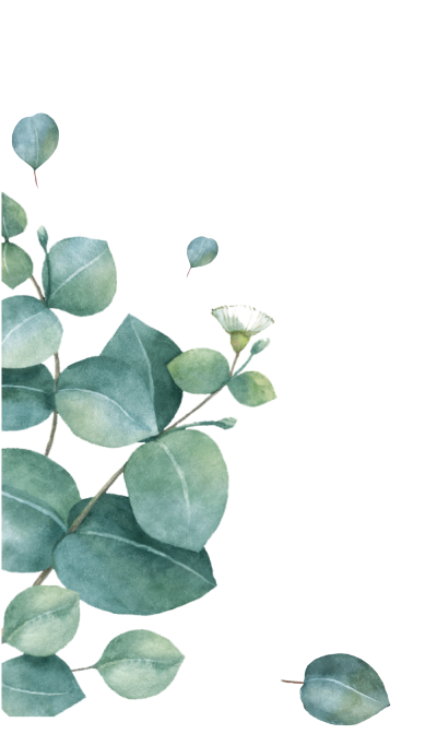 hoa lá, flower, leaf, màu nước, watercolor, xanh lá