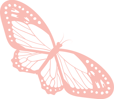 con bướm, buffterfly, động vật, animal