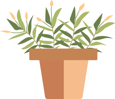 chậu cây,chậu hoa, chậu cây màu vàng, plant, F&B, giáo dục, shop 3