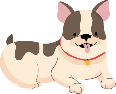 cún, chó, puppy, động vật, animal