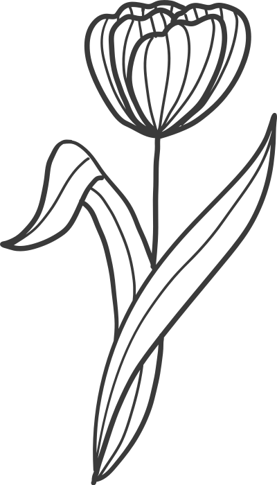 hoa, hoa màu đen, line, vẽ tay, flower, F&B, shop