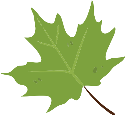 lá, lá màu xanh, leaf, F&B, giáo dục, beauty 9