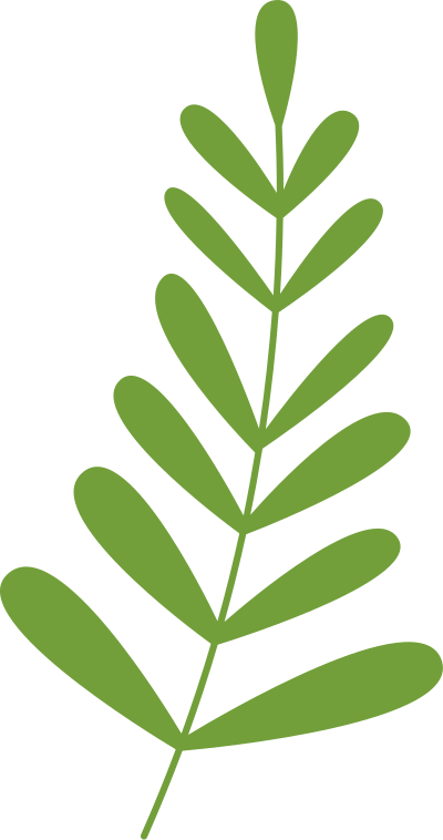lá, lá màu xanh, leaf, F&B, giáo dục, beauty 9