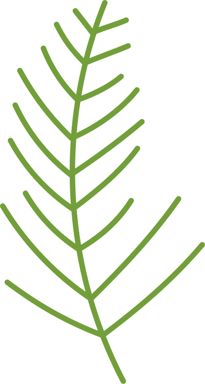 lá, lá màu xanh, leaf, F&B, giáo dục, beauty 6