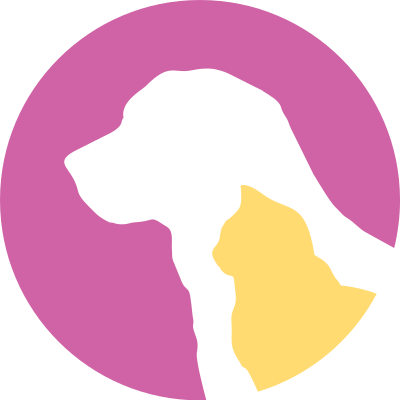 cún, chó, dog, puppy