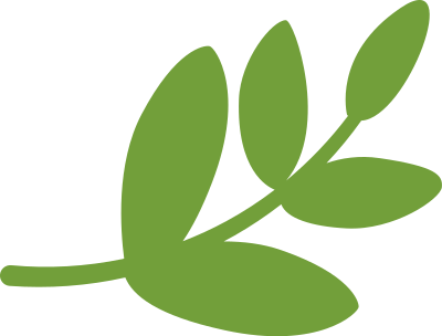 lá, lá màu xanh, leaf, F&B, giáo dục, beauty 3