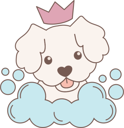 pet shop, pet store, pet mart, pet, thú cưng