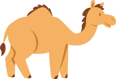 lạc đà, camel, động vật, animal