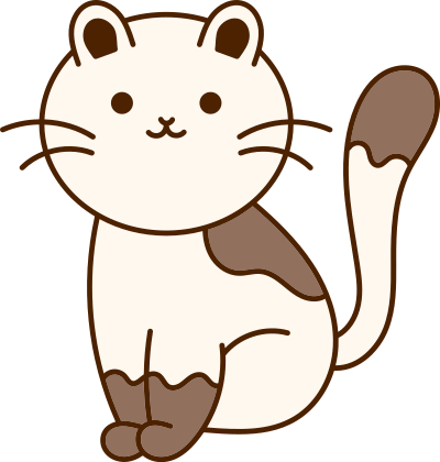 mèo, cat, động vật, animal