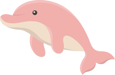 cá heo, dolphin, động vật, animal