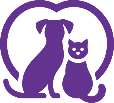 cún, chó, dog, puppy, mèo, cat