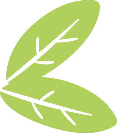 lá, lá màu xanh, leaf, F&B, giáo dục, beauty 2