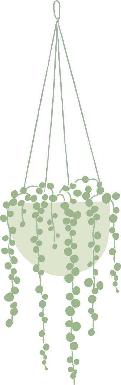 chậu cây, chậu hoa, plant, vẽ tay, F&B, giáo dục, beauty 9