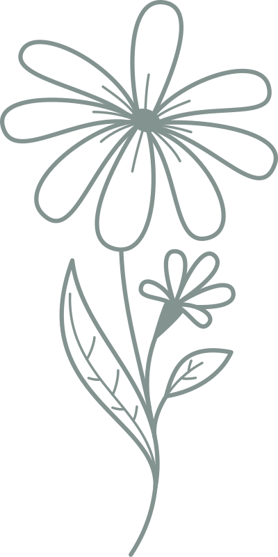 hoa, hoa màu xám, flower, vẽ tay, line, F&B, giáo dục, beauty