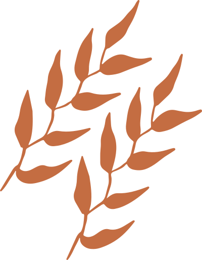 lá, leaf, lá cây, dễ thương, cute