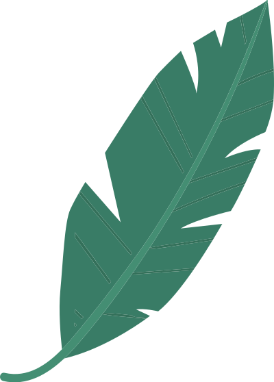 lá, lá màu xanh, leaf, F&B, giáo dục, beauty 8