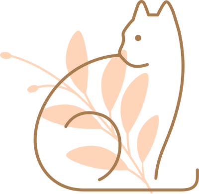 mèo, cat, pet, thú cưng