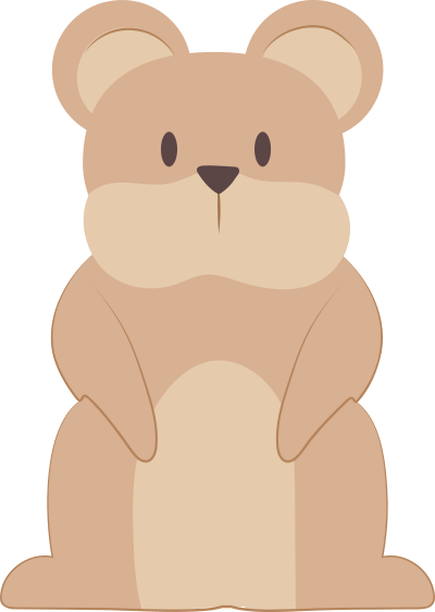 gấu, bear, động vật, animal
