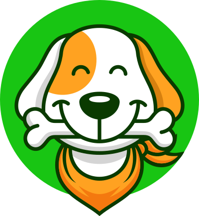 chó, dog, pet, cute