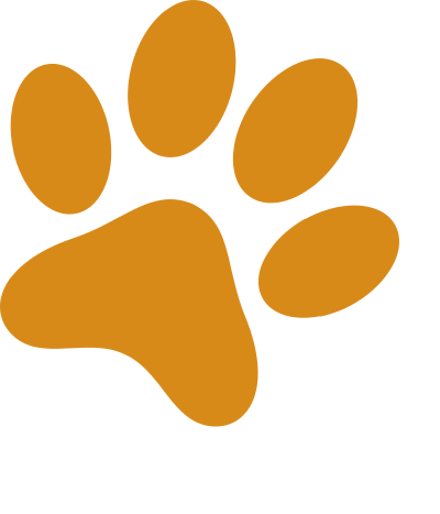 vết chân chó, dog footprints, dog, chó