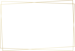 luxury frame,gold frame, khung vàng, khung sang trọng 2
