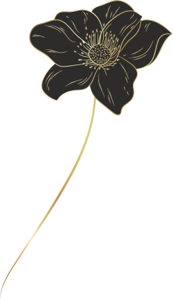 luxury flowers, hoa sang trọng, golden lines, luxury 1
