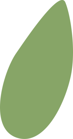 shape, cute
