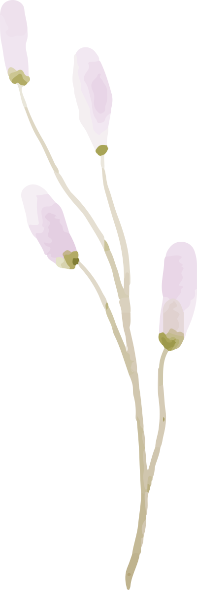 brush, màu nước, watercolor,abstract, hoa lá, flower