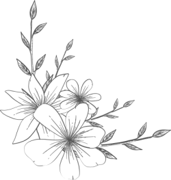 flower,flower line,flower line art, hoa lá 9