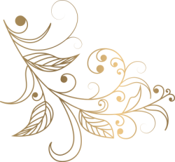 luxury flowers, hoa sang trọng, golden lines, luxury 7