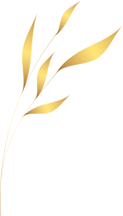 luxury flowers, hoa sang trọng, golden lines, luxury 2
