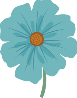 hoa, flower
