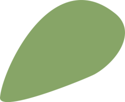 shape, cute