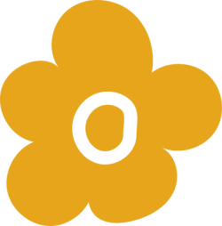 hoa, flower, shape
