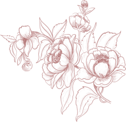 flower,flower line,flower line art, hoa lá 1