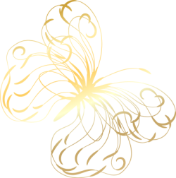 Bướm, golden lines, luxury