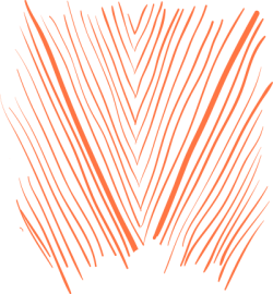 hand-drawn, pattern,vẽ tay,họa tiết 3
