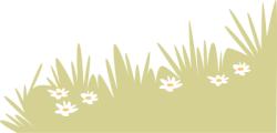 grass, cỏ, lá, leaf, bụi hoa, bụi cây