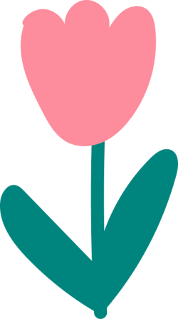 hoa, flower, shape