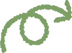 Line, shape, cute, mũi tên, arrow