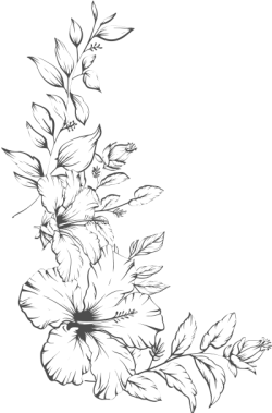 flower,flower line,flower line art, hoa lá 2